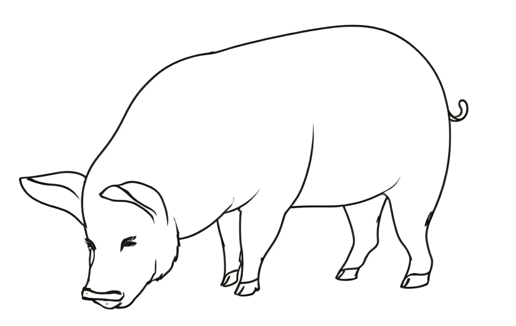 A little fragrant pig line drawing style