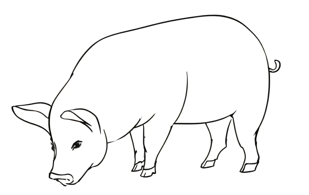 A little fragrant pig line drawing style