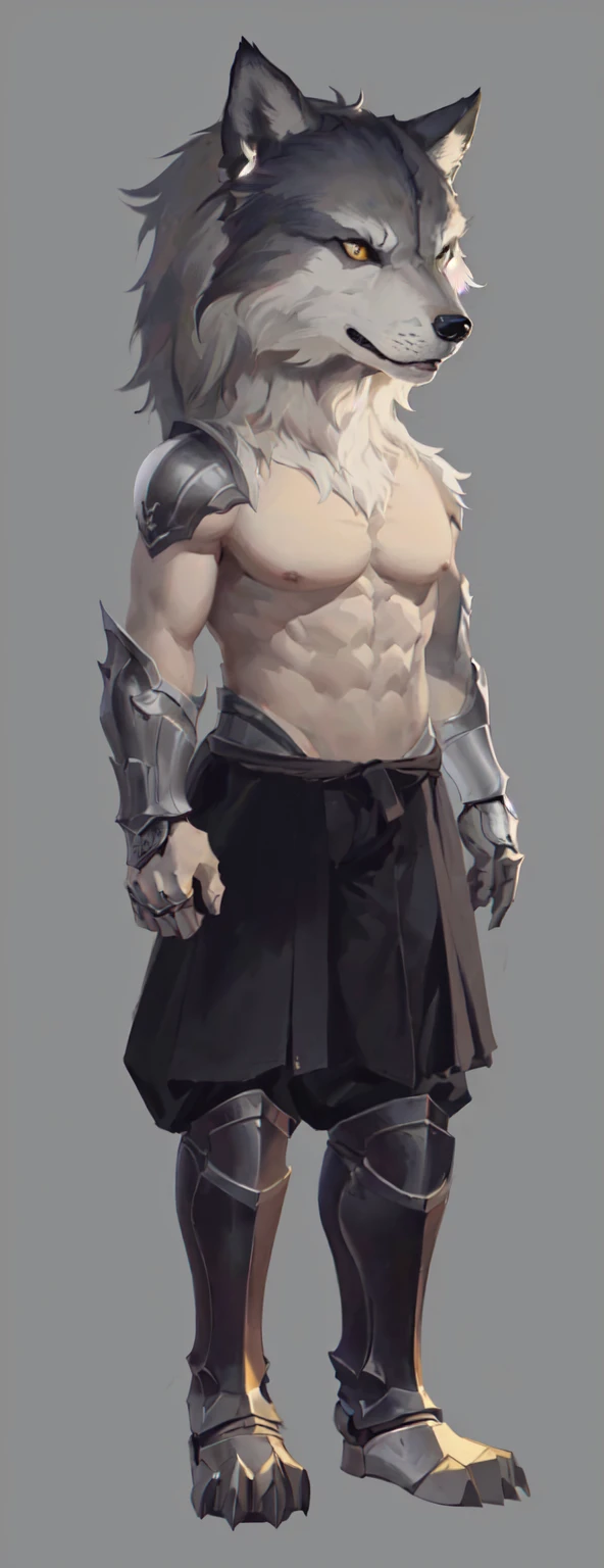 Close-up of a cartoon wolf holding a sword and armor, Whole body concept, Muscle Werewolf, Human Male Character Art, detailed Whole body concept, Complete body, Muscular personality, Muscle Hero, detailed Whole body concept art, Full body portrait, Whole body concept art, 短Full body portrait!, Full body portrait, Full body details