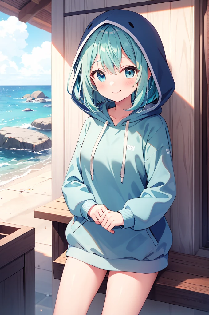  girl, long sea foam green hair, blue eyes, shy smile, light blue sweatshirt with hood over head