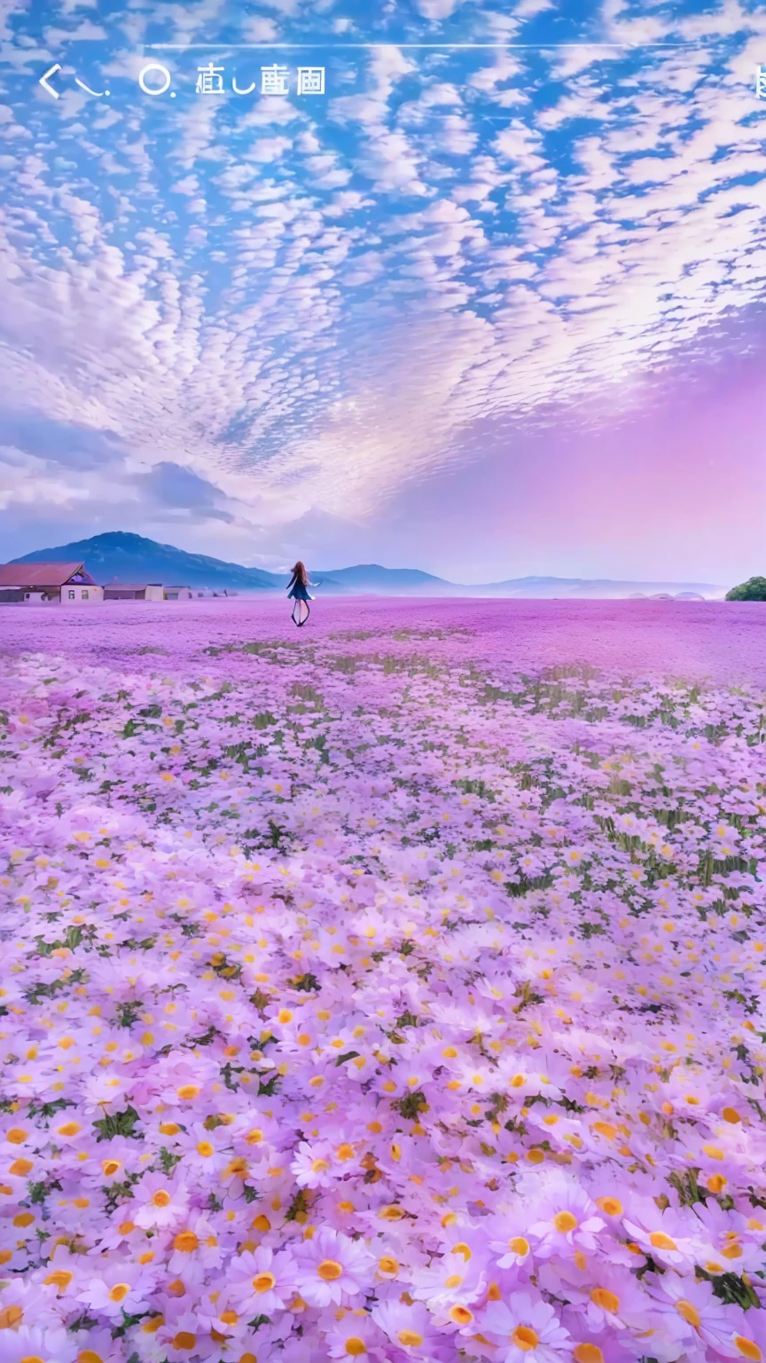 Purple flowers in a field with people walking in the distance, ピンクのFlower Field, 美しいFlower Field, standing in Flower Field, Surreal Waigi Flowers, standing in a Flower Field, Flower Field, 幻想的なFlower Field, girl walking in a Flower Field, girl walking in Flower Field, girl floating in a Flower Field, Flowers and sea everywhere