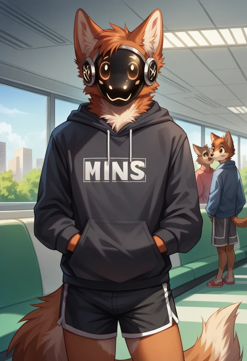 detailed fluffy fur texture, impasto impressionism, (by foxovh, ross tran, michael garmash, pino daeni, iskra), detailed eyes, highly detailed pupils, solo, furry, anthro, chase-pp, domestic protogen, male, brown eyes, brown fur, black body, fur body, fully clothed, detailed fluffy fur texture, curvy, wide hips, inner fluff ears, from front, standing, hood, black hoodie, gray track shorts, interior apartment background, day, 1boy, smile,
