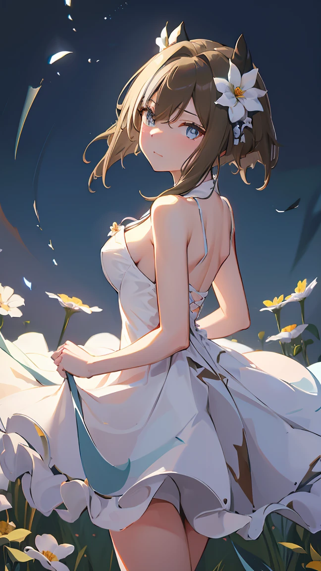 masterpiece, Highest quality, High resolution, Very detailed,(((Schwarzgran))), (((Wearing a white dress。))), (((Turning her back。))), Flower Field, Zoom in