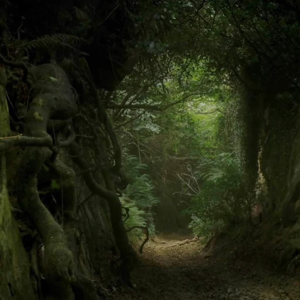 A dirt road with a wet appearance and on the sides there are trees. Besides, There are people sleeping at the foot of each of the trees , and a temperate climate with a light on the horizon of the road.