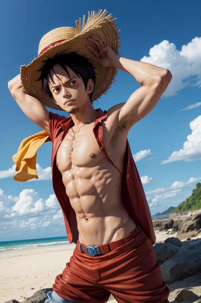 Luffy de one piece
