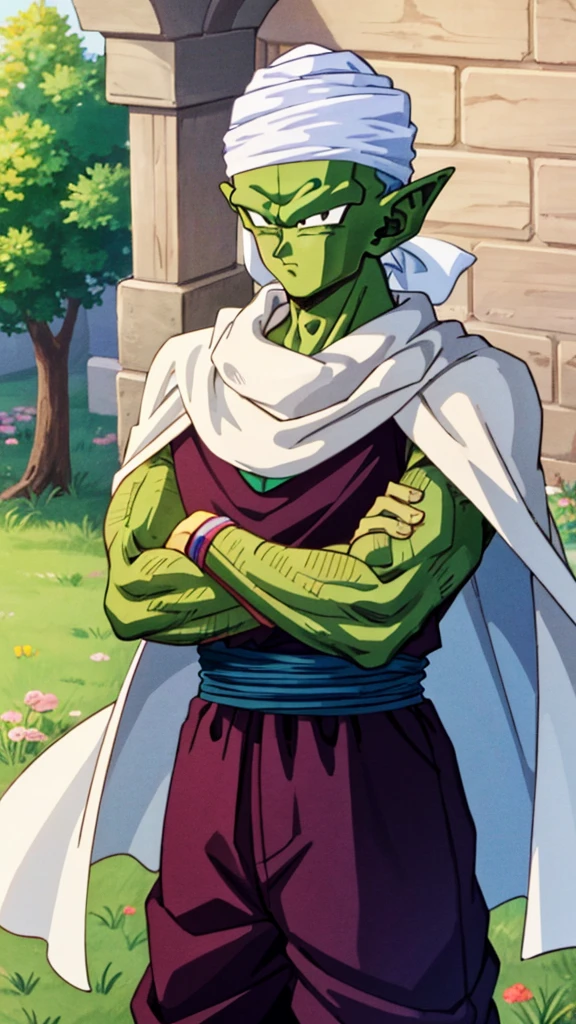 {{{masterpiece}}}, {{{best quality}}}, {{ultra-detailed}}, {illustration}, {{an extremely delicate and beautiful}}, (beautiful detailed eyes:1.6), extremely detailed face, 8k, anime face, piccolo(Dragon Ball),1boy, solo, pointy ears, bald, black eyes, green skin pink patches, purple dougi, purple pants, blue sash, (white turban), white cape, BREAK, glare, closed mouth, looking at viewer, crossed arms, rocky grassfields, standing, isometric drawing, whole body