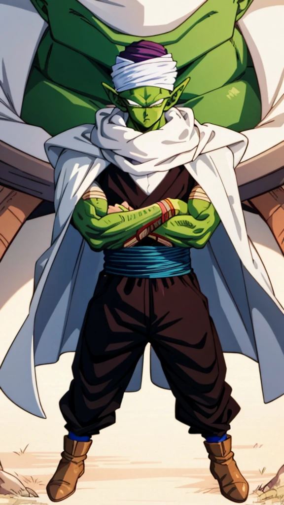 {{{masterpiece}}}, {{{best quality}}}, {{ultra-detailed}}, {illustration}, {{an extremely delicate and beautiful}}, (beautiful detailed eyes:1.6), extremely detailed face, 8k, anime face, piccolo(Dragon Ball),1boy, solo, pointy ears, bald, black eyes, green skin pink patches, purple dougi, purple pants, blue sash, (white turban), white cape, BREAK, glare, closed mouth, looking at viewer, crossed arms, rocky grassfields, standing, isometric drawing, whole body