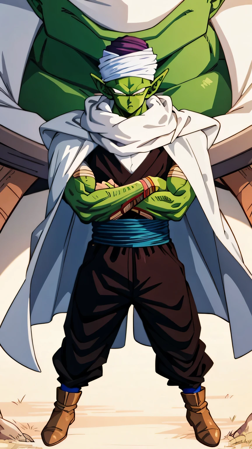 {{{masterpiece}}}, {{{best quality}}}, {{ultra-detailed}}, {illustration}, {{an extremely delicate and beautiful}}, (beautiful detailed eyes:1.6), extremely detailed face, 8k, anime face, piccolo(Dragon Ball),1boy, solo, pointy ears, bald, black eyes, green skin pink patches, purple dougi, purple pants, blue sash, (white turban), white cape, BREAK, glare, closed mouth, looking at viewer, crossed arms, rocky grassfields, standing, isometric drawing, whole body