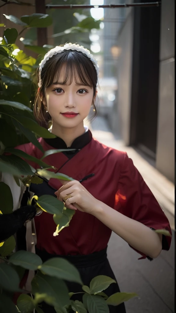 qipao dress