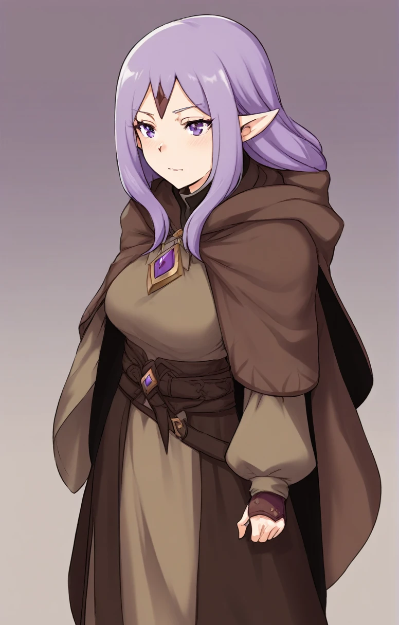 half elf, mature woman, dnd, adventurer, brown cloak, elegant, long violet hair, flat chest, hood on