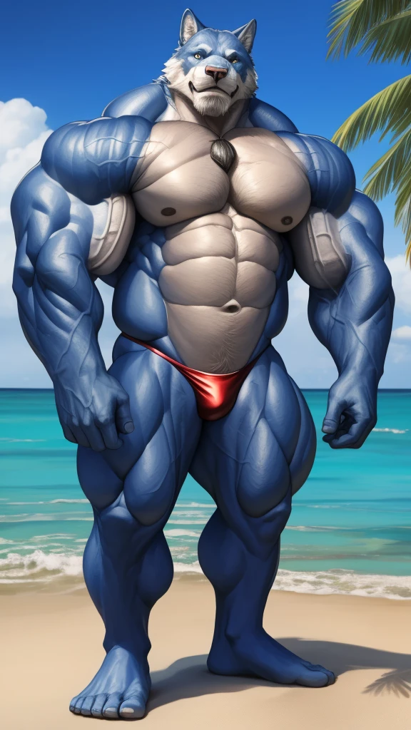realistic, hyper realistic, detailed muscle,(furry blue white wolf), good anatomy, masterpiece, art winner, beach, extremely huge muscular, massive muscular, full-body, well-muscled old man. ((extremely muscle size, super thick arms, huge pec, extremely wide pectoral , huge arms)). (red thong:1.1), and add details to make it attractive and interesting. Add textures and details to make the image more realistic, Make sure the resulting image is high resolution, 8K quality."