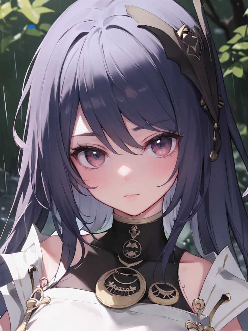 Nine-stripe leno|Genshin Impact, （（best quality））， （（masterpiece））， （detail：1.4），forest，rain，wet，Detailed portrait of anime girl