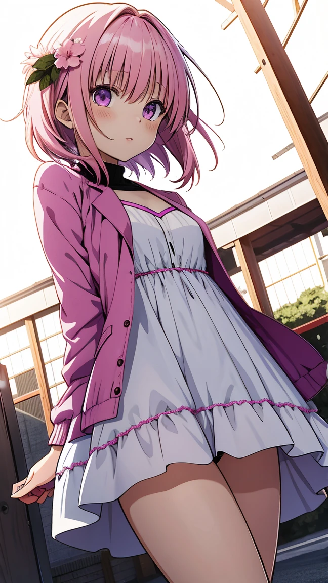 Momo Belia Deviluke has short pink hair and purple eyes. In the To LOVE-Ru manga, straightened her hair out She also has two small flowers on her hair. cute dress see underwear