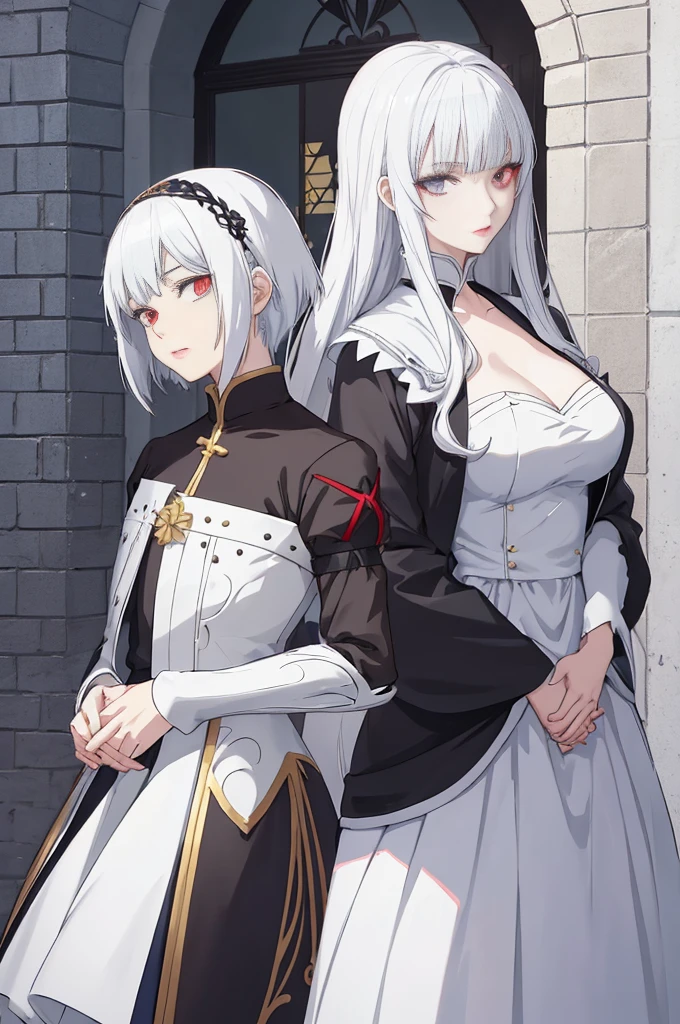 The female anime couple wears a white dress, white hair, has heterochromia eyes, the left is blood red, the right is navy blue. Meanwhile, the man, dressed in a black suit, has brownish black hair and wears glasses, his face is cold and his figure is very mysterious. Posing for a photo, Sasura, :14 80s anime style, Arte Zerochan, hana yata, Hidari y Vlop, Hajime Yatate, in anime style, anime shadow vector, black and white, Sakimichan and Frank Franzzeta, 4K anime style, anime visual style