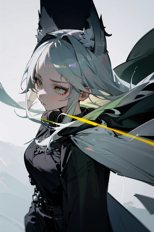 1 woman, black robe, green eyes, white hair,anime, realistic,Black head covering,ultra detail