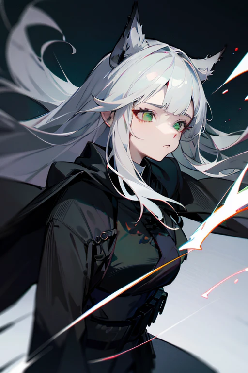 1 woman, black robe, green eyes, white hair,anime, realistic,Black head covering,ultra detail