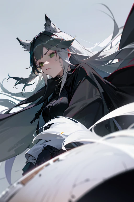1 woman, black robe, green eyes, white hair,anime, realistic,Black head covering,ultra detail