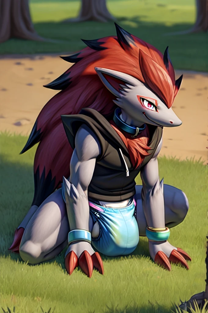 A dark purple femboy zoroark wearing a black sweatshirt and a blue diaper and white socks with black stripes and a gold colored dog collar on his neck and with bracelets on his arms and crawling