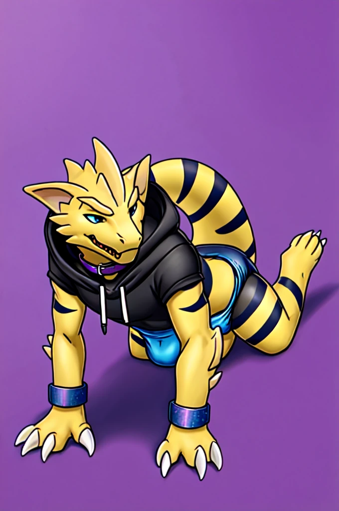 A dark purple femboy Kaiju wearing a black sweatshirt and a blue diaper and white socks with black stripes and a gold dog collar on his neck and with bracelets on his arms and crawling