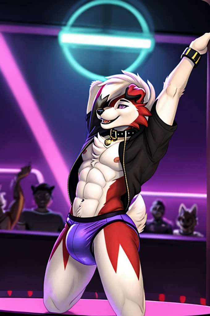   A dark purple Midnight femboy lycanroc wearing a black sweatshirt and a blue diaper and white socks with black stripes and a gold colored dog collar on his neck and with bracelets on his arms dancing sexually in a stripper club 