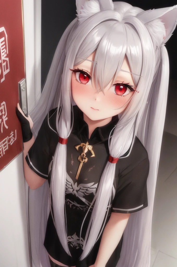 (silber hair:1.5),(long hair:1.0),(red eyes:1.3),(A man's room living alone:1.45,(Eye size:1.7),(close up of face:1.35),(SM Play:1.4),(Meet and greet at the entrance:1.3),(look up as if clinging to:1.45),(red blush:1.4),(Perspective from above:1.4), Pale skin, White hair, Blue hoodie, Tails, Solo, (long Wolf Ears) 