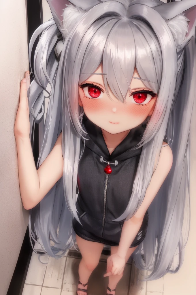(silber hair:1.5),(long hair:1.0),(red eyes:1.3),(A man's room living alone:1.45,(Eye size:1.7),(close up of face:1.35),(SM Play:1.4),(Meet and greet at the entrance:1.3),(look up as if clinging to:1.45),(red blush:1.4),(Perspective from above:1.4), Pale skin, White hair, Blue hoodie, Tails, Solo, (long Wolf Ears)