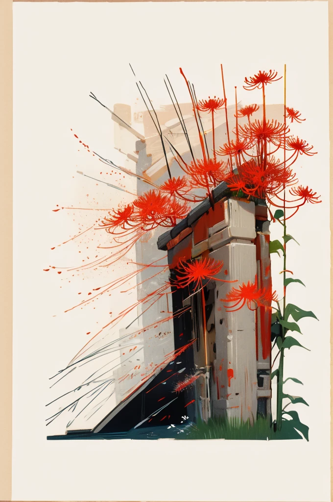 Red Spider Lily