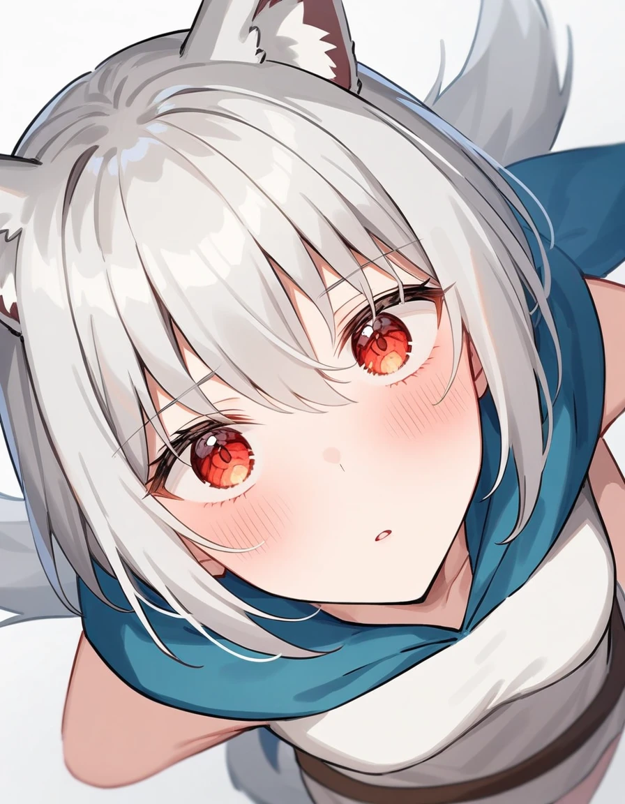 (silber hair:1.5),(midium hair:1.0),(red eyes:1.3),(A man's room living alone:1.45,(Eye size:1.5),(close up of face:1.0),(SM Play:1.4),(look up as if clinging to:1.0),(red blush:1.4),(Perspective from above:1.4), Pale skin, White hair, Blue hoodie, Tails, Solo, (long Wolf Ears)