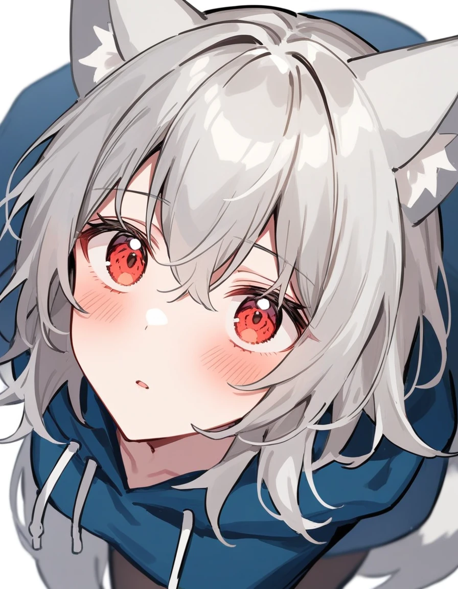 (silber hair:1.5),(midium hair:1.0),(red eyes:1.3),(A man's room living alone:1.45,(Eye size:1.5),(close up of face:1.0),(SM Play:1.4),(look up as if clinging to:1.0),(red blush:1.4),(Perspective from above:1.4), Pale skin, White hair, Blue hoodie, Tails, Solo, (long Wolf Ears)