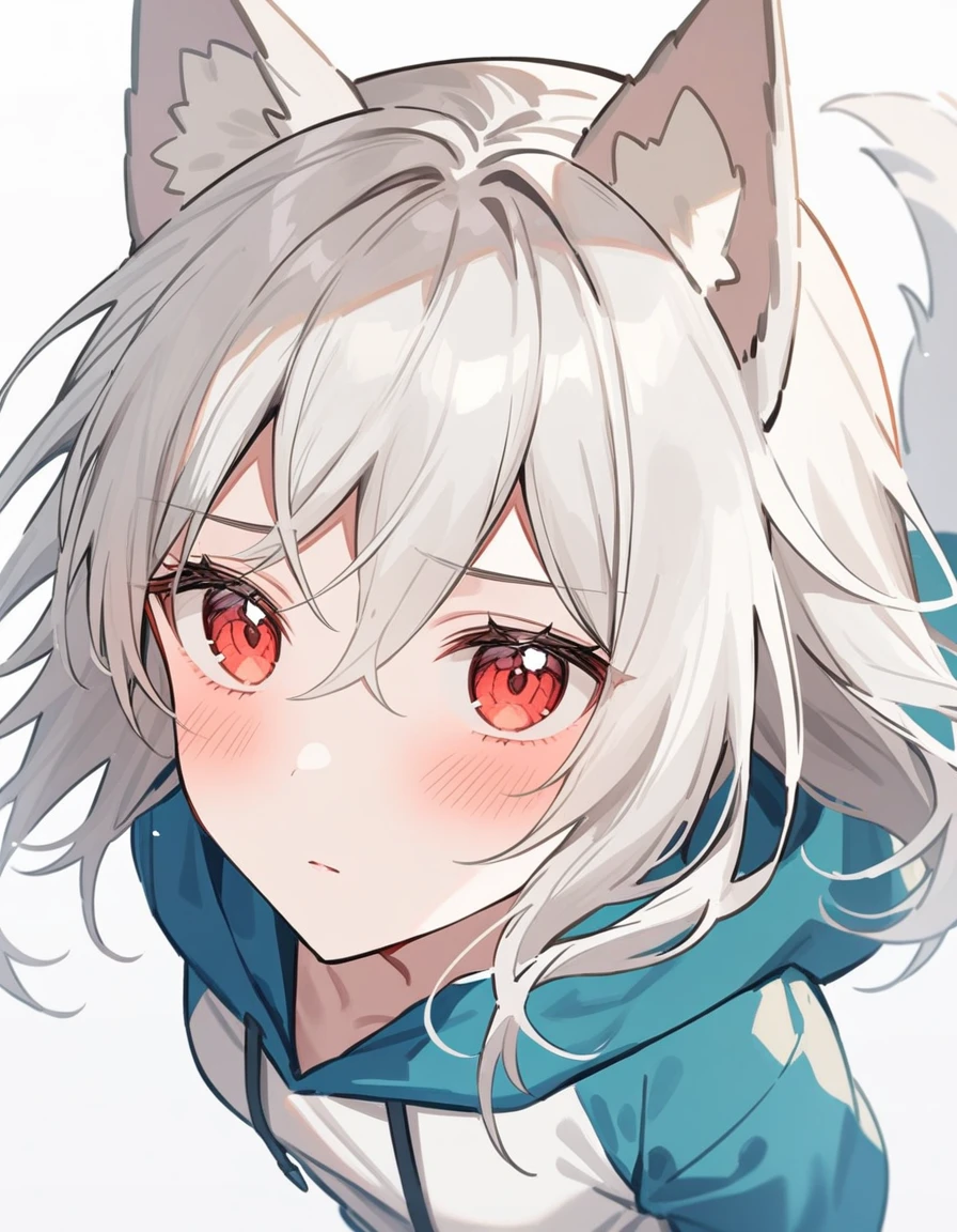 (silber hair:1.5),(midium hair:1.0),(red eyes:1.3),(A man's room living alone:1.45,(Eye size:1.5),(close up of face:1.0),(SM Play:1.4),(look up as if clinging to:1.0),(red blush:1.4),(Perspective from above:1.4), Pale skin, White hair, Blue hoodie, Tails, Solo, (long Wolf Ears)