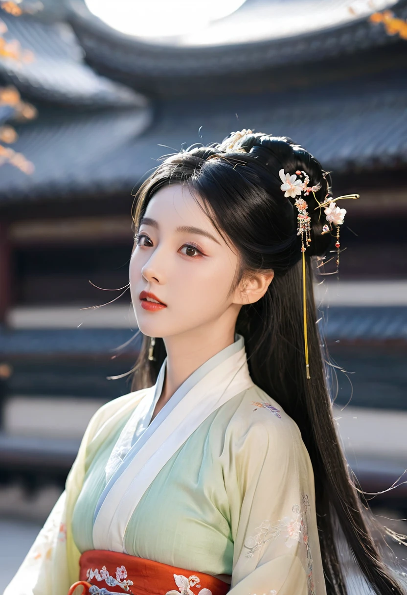 1 Girl,whole body,Extremely detailed face, Beautiful and delicate eyes,There is light on the face,light,Looking at the audience,outdoor,Black Hair,(Black Chinese Building:0.05),Hanfu,