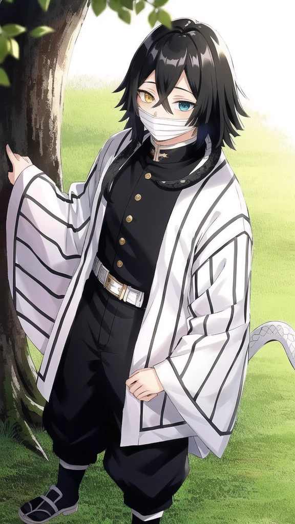 1boy, snake, heterochromia, black hair, male focus, snake, tree, yellow eyes, outdoors, blue eyes, japanese clothes, black pants, hair between eyes, wide sleeves, long sleeves, sky,  demon slayer uniform, striped jacket,  bangs, iguro obanai,  upper body, red eyes, cloudy sky,  long hair, anime screencap, anime coloring, standing, full body, 