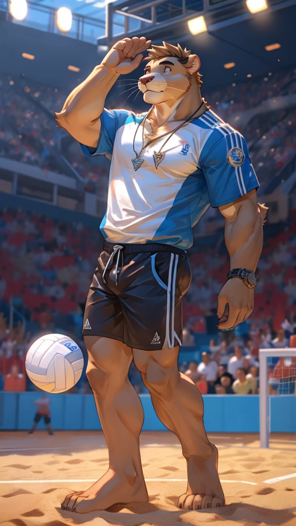 a male furry sea lion who is only wearing short shorts, has his body uncovered and is in a volleyball stadium as he is playing. He wears a necklace with a K pendant