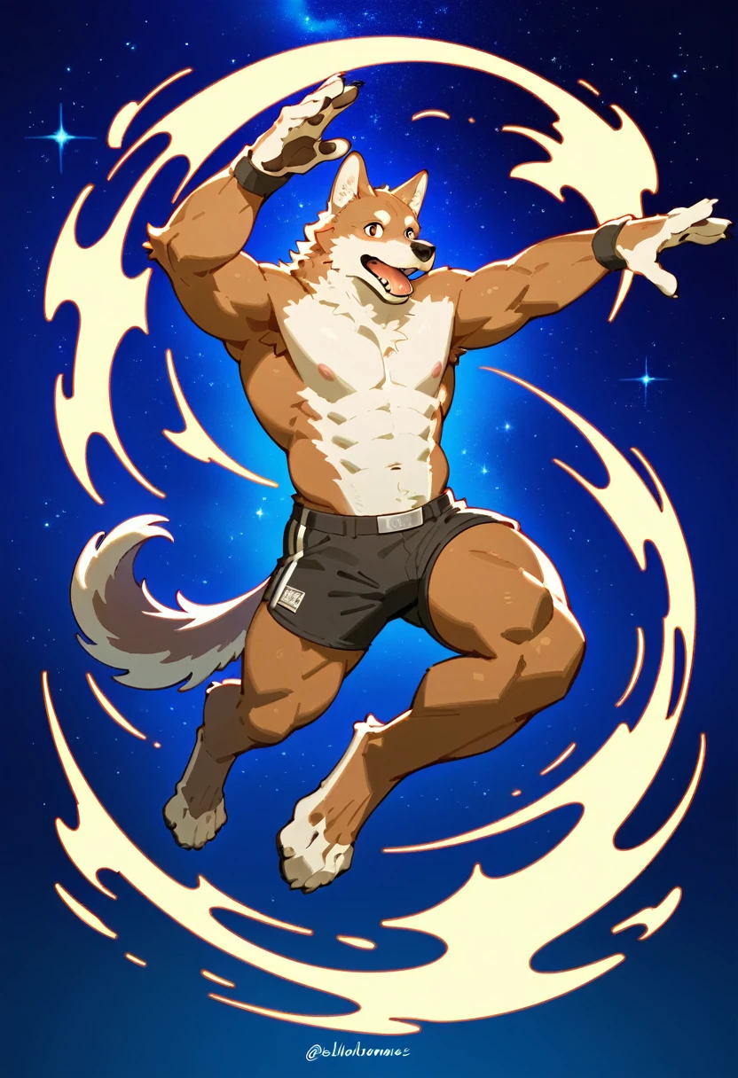 top quality, best quality, The Starry Night, High-quality illustrations by Michelangelo, by Johannes Vermeer, masterpiece, super high resolution, detailed background(highly detailed beautiful face and eyes)absurdres, perfect anatomy(handsome 1boy, kemono, solo focus)(furry)(furry anthro:1.7)(Furry body, dog facial features, dog body features)(very detailed body fur)full body, dynamic pose,