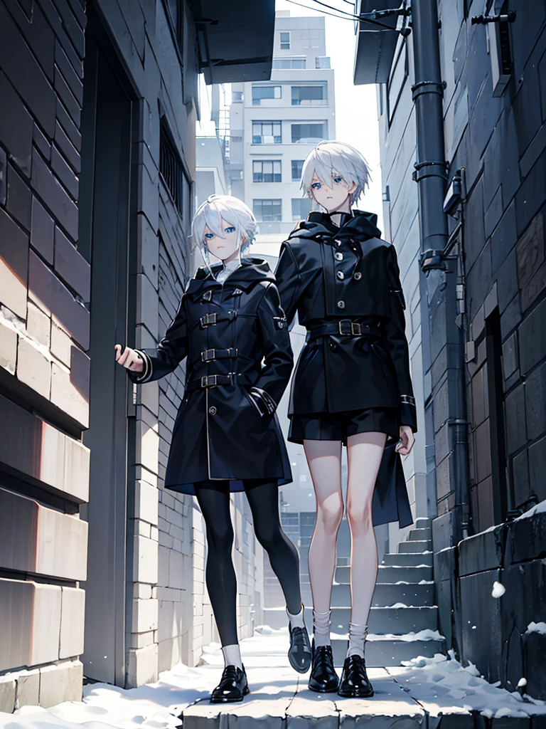 Modern style, A young male with long snow-white hair, blue eyes, and fair skin, wearing a black hood, black thigh-high shorts, white socks that go past the ankles, and black shoes with white laces, Modern city, night, dark alley, black cat, crows snatching food