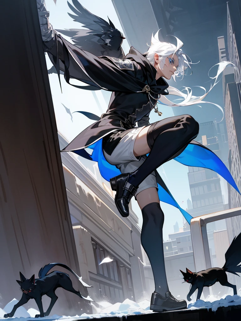 Modern style, A young male with long snow-white hair, blue eyes, and fair skin, wearing a black hood, black thigh-high shorts, white socks that go past the ankles, and black shoes with white laces, Modern city, night, dark alley, black cat, crows snatching food