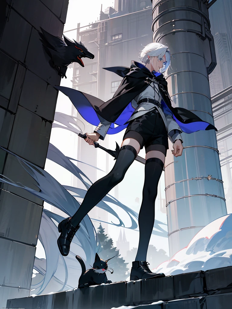 Modern style, A young male with long snow-white hair, blue eyes, and fair skin, wearing a black hood, black thigh-high shorts, white socks that go past the ankles, and black shoes with white laces, Modern city, night, dark alley, black cat, crows snatching food