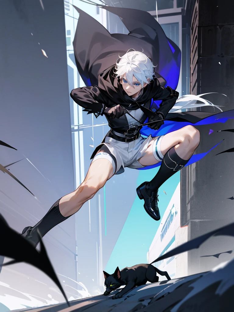 Modern style, A young male with long snow-white hair, blue eyes, and fair skin, wearing a black hood, black thigh-high shorts, white socks that go past the ankles, and black shoes with white laces, Modern city, night, dark alley, black cat, crows snatching food