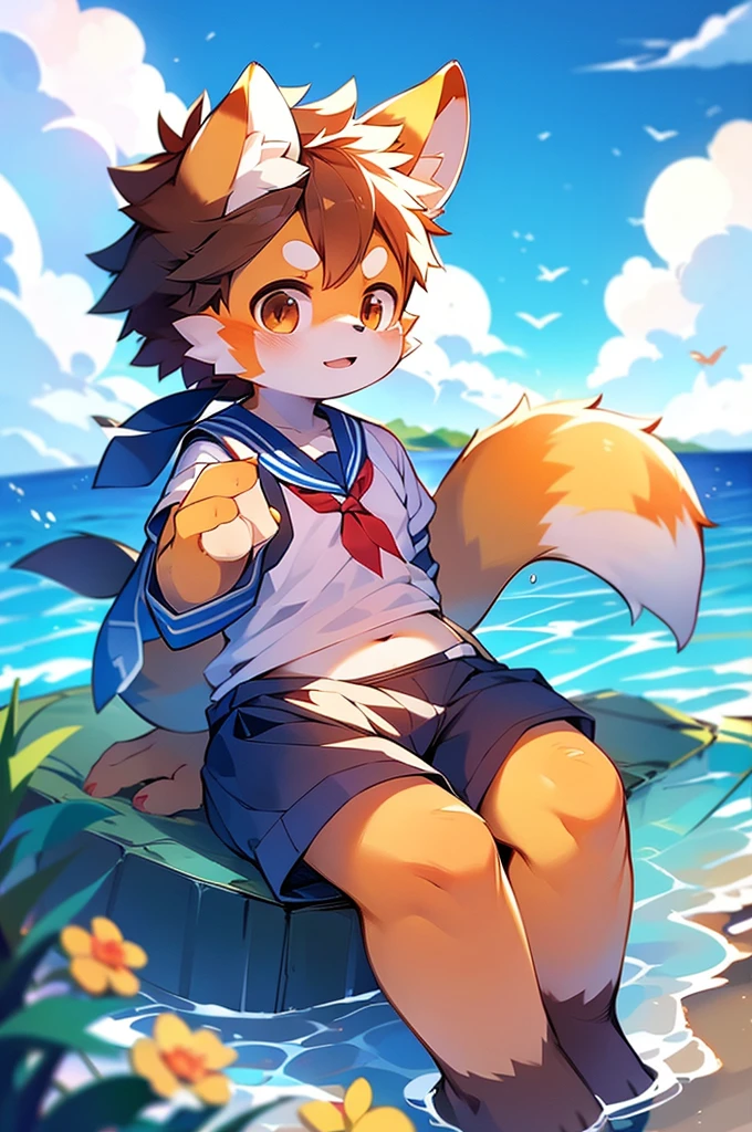 Male Red Panda, Ocean, Appeared wearing a sailor uniform! One in heat, Sitting,空を飛ぶ，青い光