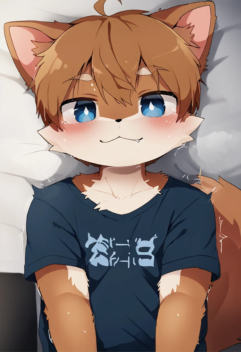 A male cat with light black fur with red colour eyes, being fuck by a male dog with brown fur with blue eyes wear a shirt student