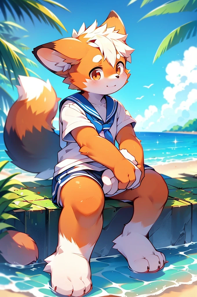 Male Red Panda, Ocean, Appeared wearing a sailor uniform! One in heat, Sitting,fly in the sky,