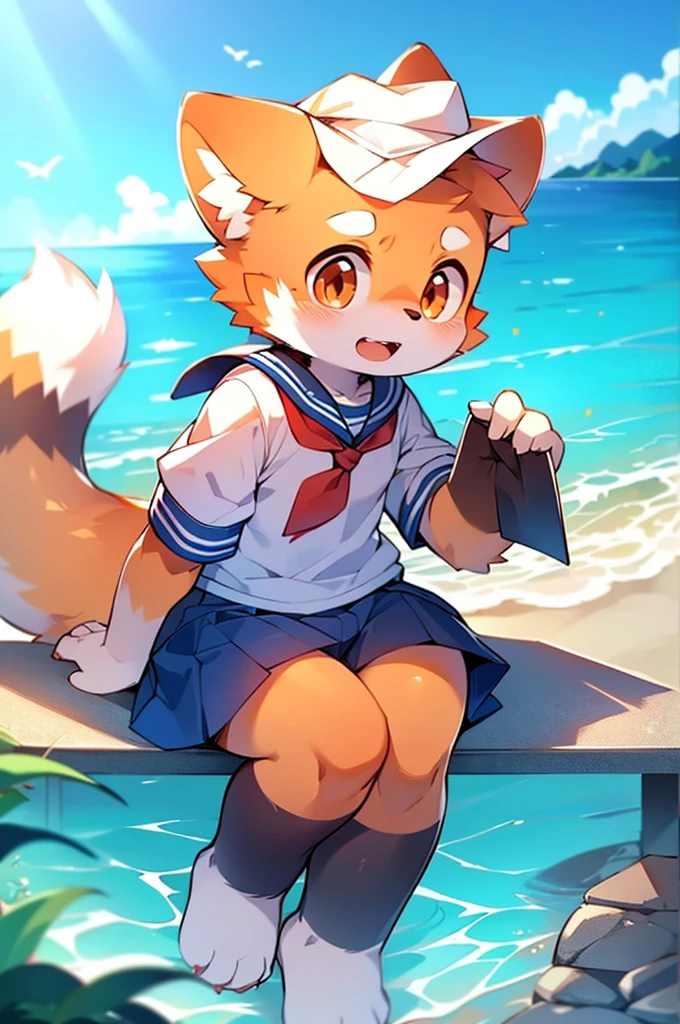 Male Red Panda, Ocean, Appeared wearing a sailor uniform! One in heat, Sitting,fly in the sky，