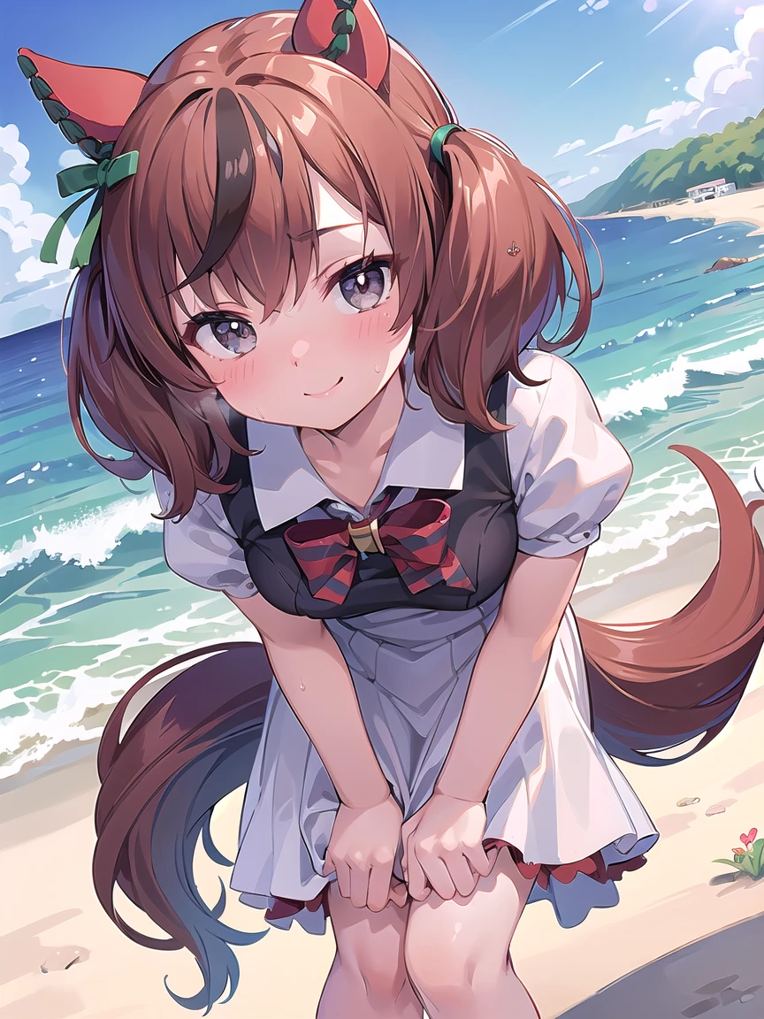 ((masterpiece, best quality)), high resolution,ultra detailed,8k,16k,detailed background, perfect lighting,detailed beautiful eyes, 1girl,solo,nsfw,embarrassed,blush,steam,sweat,in heat,(happy smile),look at viewer,face focus,(from above,front view:1.2),upper body,seductive eyes,fisheye lens,be breathless,(naughty smile,leaning forward,hands on knees:1.2)
,kawaii,teenage,short stature,short body,medium breast,nicenature,
dress,brown hair,gray eyes,short twintail,seaside beach,sky