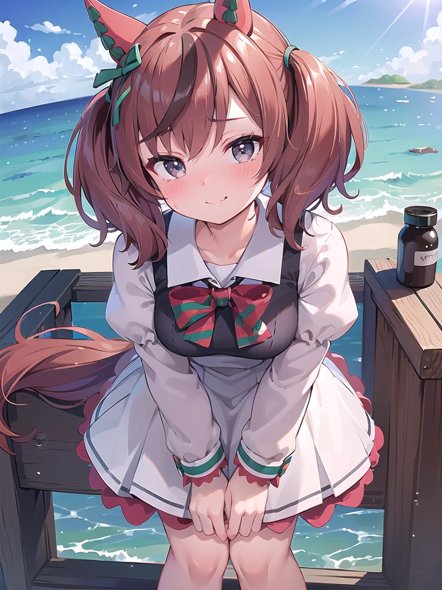 ((masterpiece, best quality)), high resolution,ultra detailed,8k,16k,detailed background, perfect lighting,detailed beautiful eyes, 1girl,solo,nsfw,embarrassed,blush,steam,sweat,in heat,(happy smile),look at viewer,face focus,(from above,front view:1.2),upper body,seductive eyes,fisheye lens,be breathless,(naughty smile,leaning forward,hands on knees:1.2)
,kawaii,age,short stature,short body,medium breast,nicenature,
open neck dress,brown hair,gray eyes,short twintail,seaside beach,sky