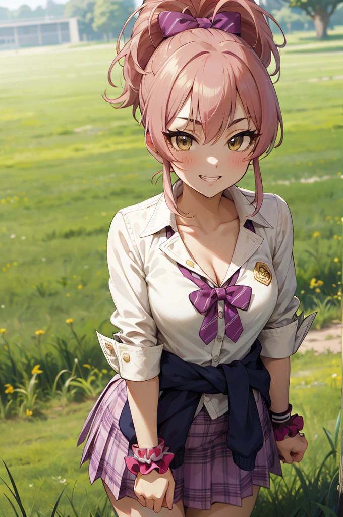 masterpiece, best quality, highres, aamika, ponytail, hair bow, collarbone, , striped, bowtie, collared shirt, white shirt, sleeves rolled up, wrist scrunchie,, clothes around waist, plaid skirt, purple skirt, , field, smile, grass, outdoors,(((Gyaru))),cleavage,lean forward,grin