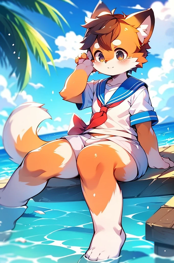 Female Red Panda, Ocean, Appeared wearing a sailor uniform!Sitting,fly in the sky,