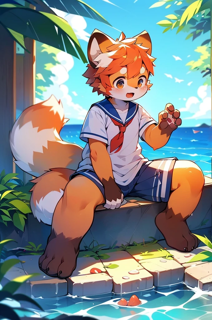 Male Red Panda, Ocean, Appeared wearing a sailor uniform! One in heat, Sitting,空を飛ぶ,青い光