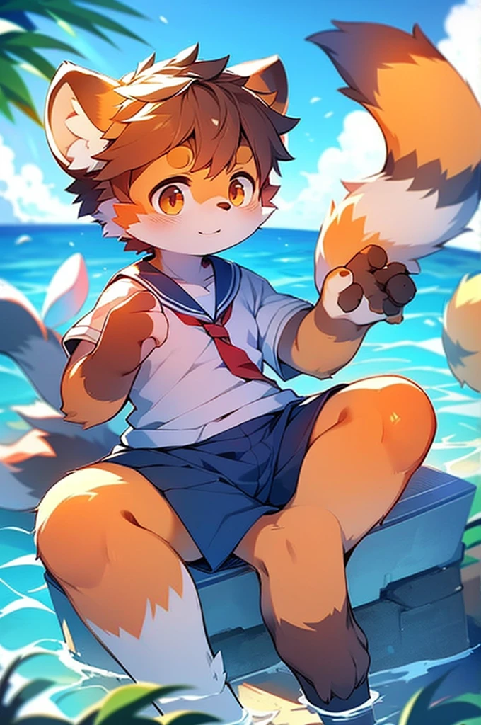 Male Red Panda, Ocean, Appeared wearing a sailor uniform! One in heat, Sitting,空を飛ぶ,青い光
