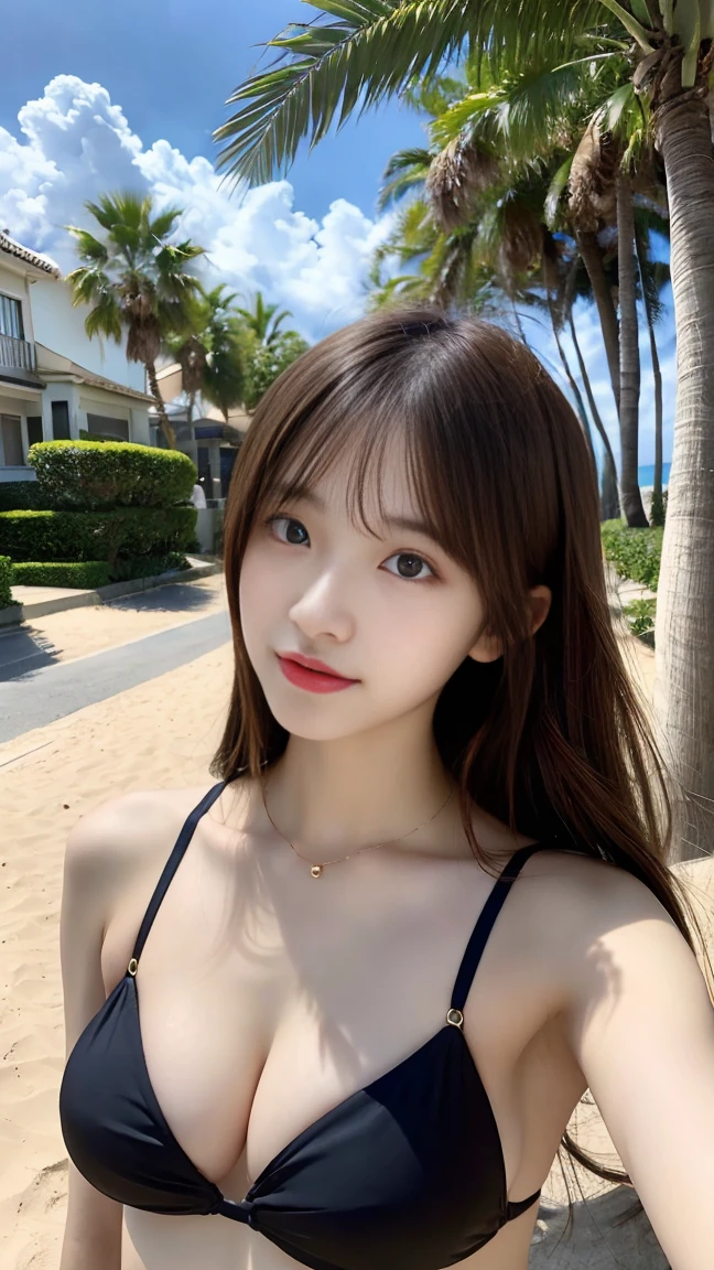 ((masterpiece、High resolution、Absurd、8K、))1 high school girl、Brown Hair、Long Hair、Clear Eyes、Thick lips、Black Bikini、Beautiful breasts、sunlight、Ocean🌊、Sandy Beach、Palm tree🌴