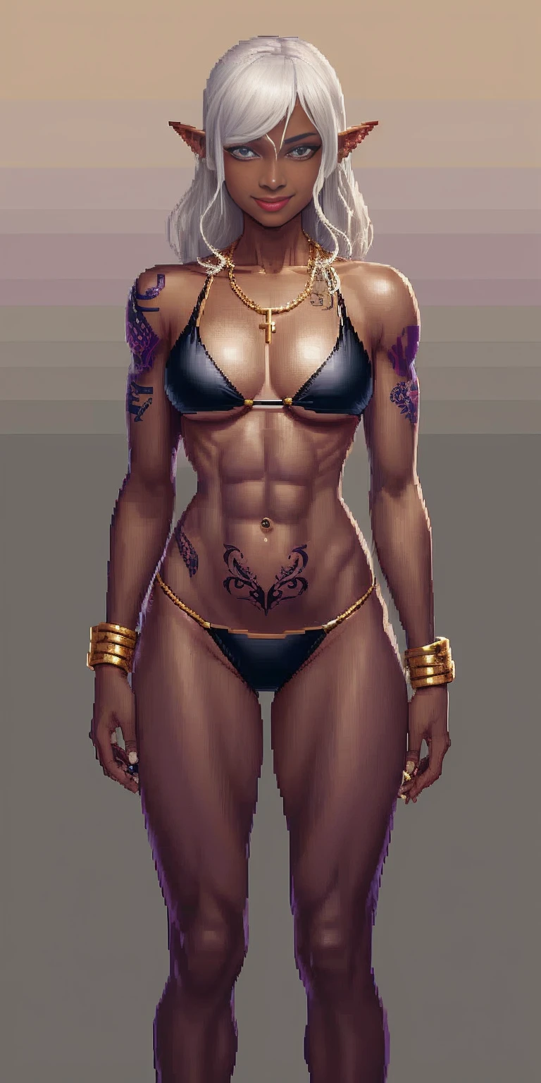 ((pixel art))((1 girl)) whole body, standing, gray skin, drow, elf, maduro, Detailed happy face, purple eyes, by white, black bikini, ABS, Large knockers, gold chain necklace, stomach tattoo (red tattoo)